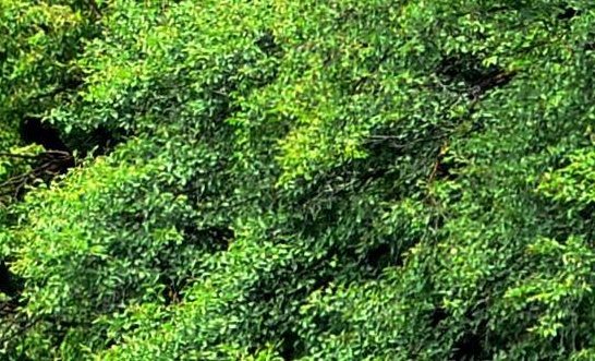 利用网络创业成功的案例