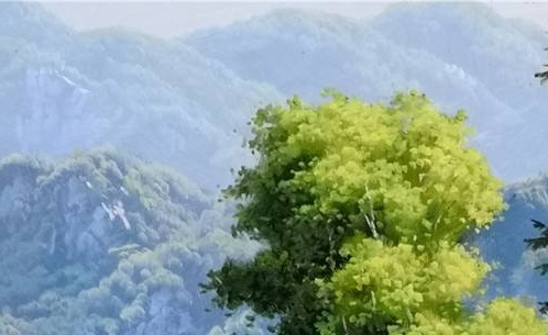 饭卡怎么做