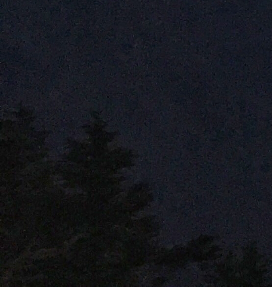 基金股票投资赚钱案例分析