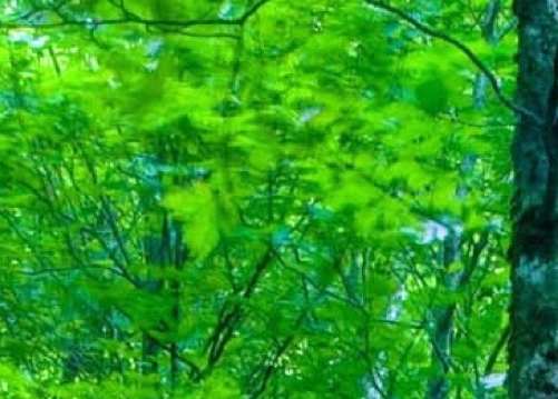 表哥的赚钱方法