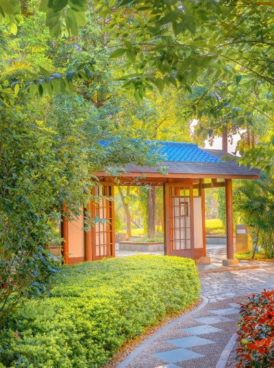 春节摆摊赚钱项目有哪些