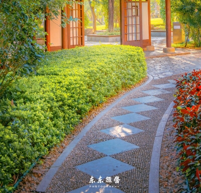 第一次创业养牛,怎样才能赚钱