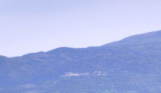 莆田赚钱小项目在哪里