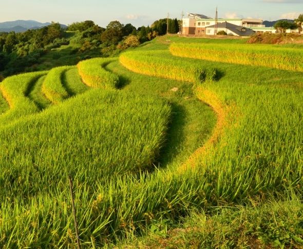 银川做什么项目赚钱