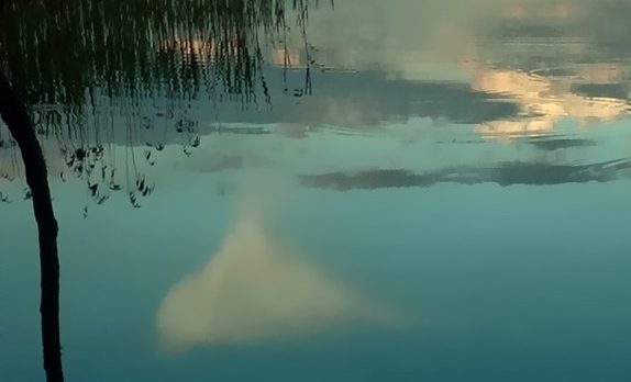 搞什么批发项目最赚钱