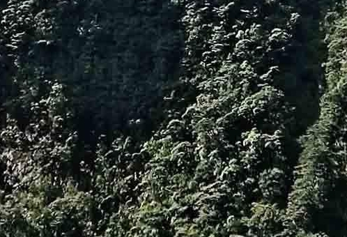 靠手段赚钱案例
