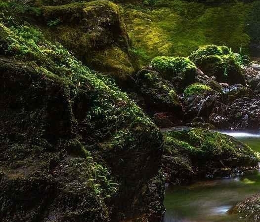 区块链项目赚钱案例