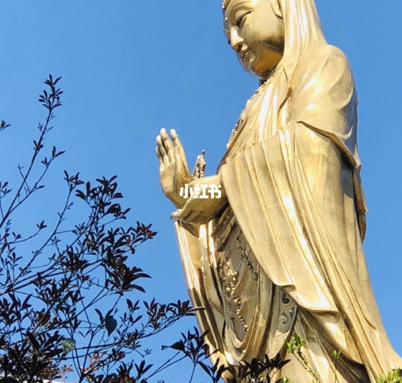 养牛创业赚钱方法有哪些