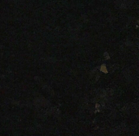 针灸师资格证怎么考