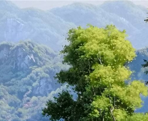 航空公司服务案例