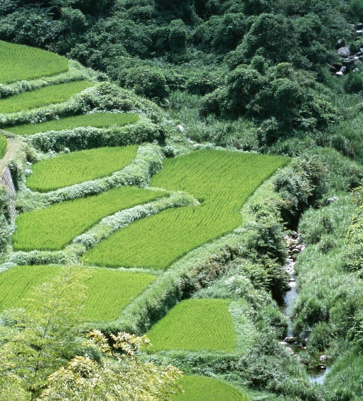 航空公司赚钱的案例有哪些