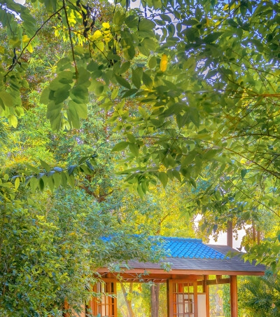 抖音上面的赚钱的项目