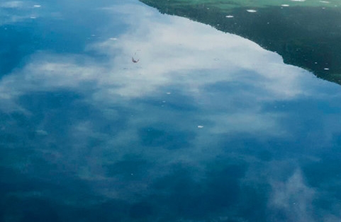 旅游赚钱案例分析