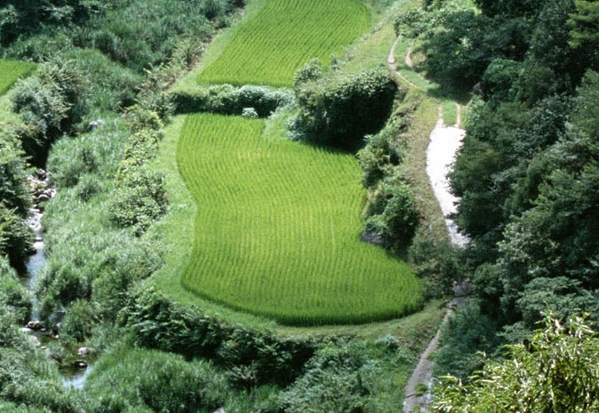 抖音橱窗赚钱案例