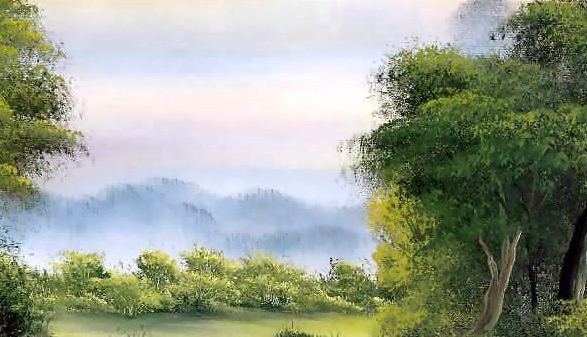 成都几个区