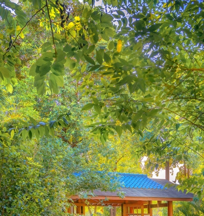 骑马怎么能让它跑开