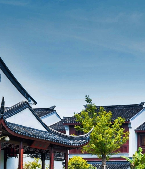 有什么直播项目能赚钱？