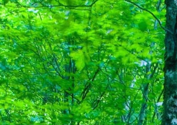 写作赚钱快的方法