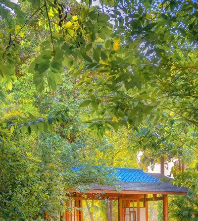 利用政府资源赚钱的案例