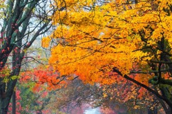 写作赚钱的渠道