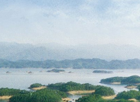 养蚯蚓最赚钱的方法