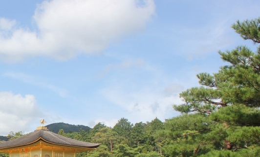 空手赚钱模式案例