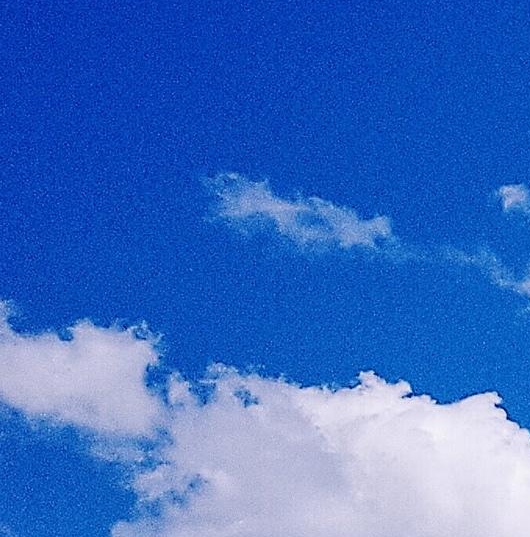 蒙城退房退款成功案例分析