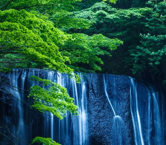 百度地图上传照片赚钱