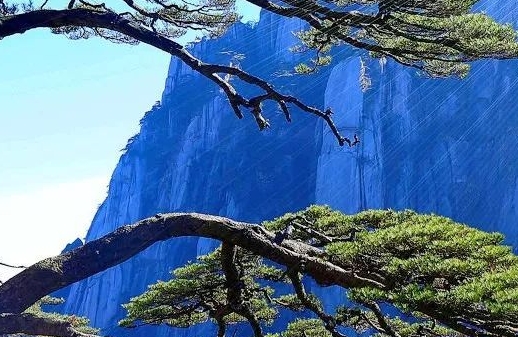 现在农村致富有什么好项目