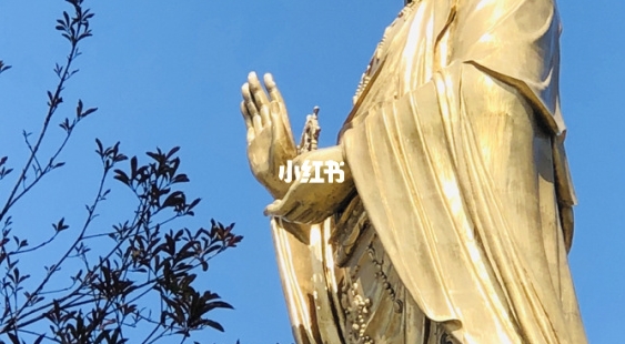 躺着赚钱的案例