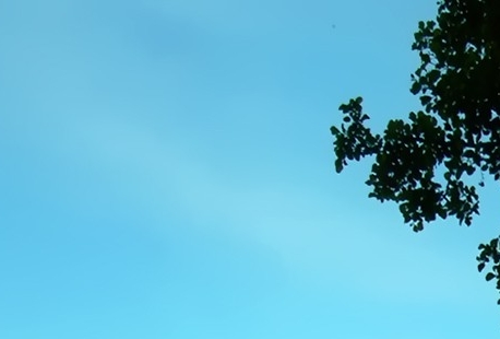 成长赚钱的成功案例