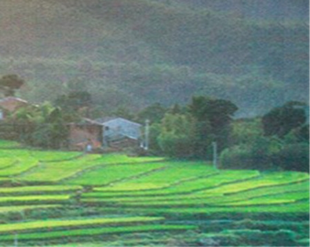 卖汽油赚钱案例