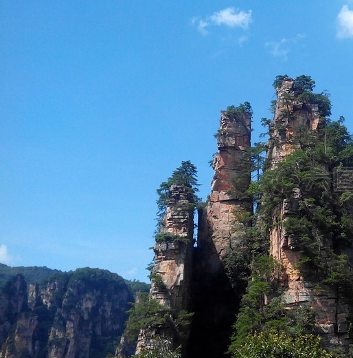 深圳有什么好项目可以赚钱