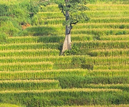 现在的自媒体赚钱方法