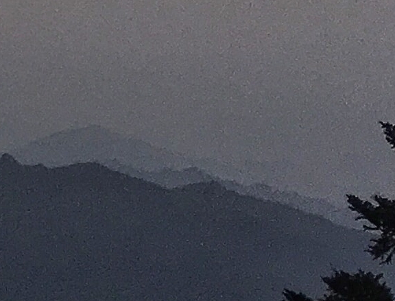 炒股直播赚钱方法视频