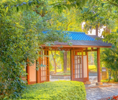 暗区突围伪装赚钱方法