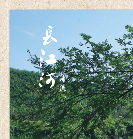 女性阴道检查