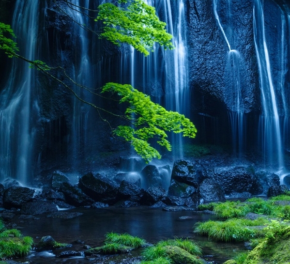 抖音副业赚钱案例
