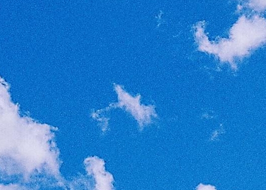 培训学员赚钱案例