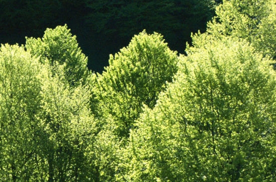青岛搬砖赚钱方法