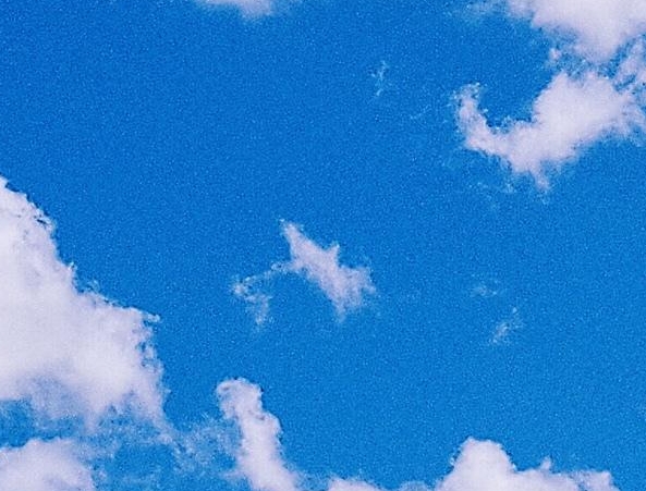 逆向思维赚钱案例