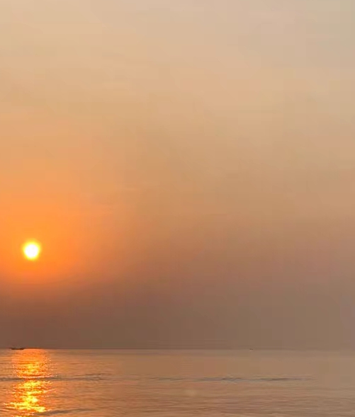 过年有什么好赚钱的项目