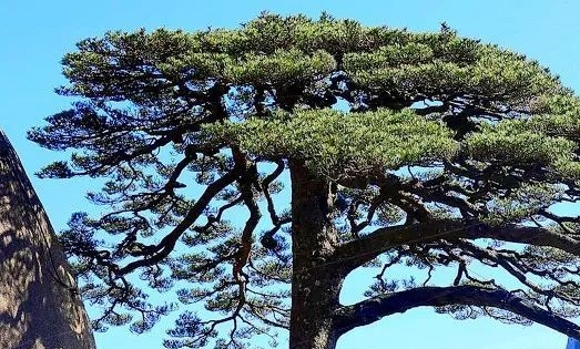 澳门有哪些赚钱方法呢