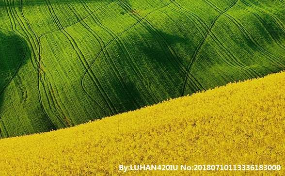做什么医生赚钱多还不太累