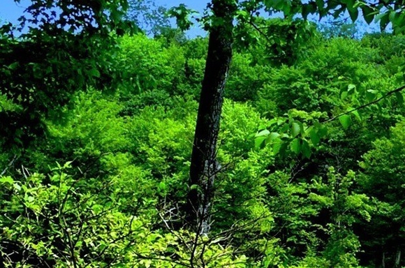 全民K歌赚钱方法