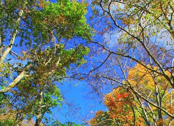 朋友圈分享淘宝链接怎么赚钱