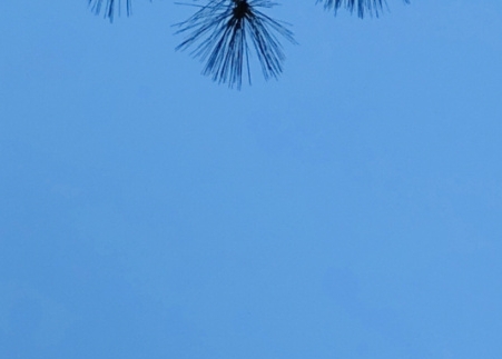 思维赚钱成功案例
