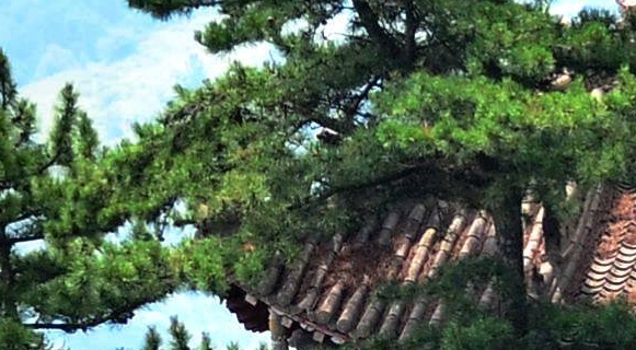 交友项目怎么操作赚钱