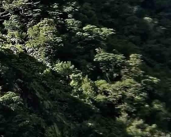 赚钱模式简单案例