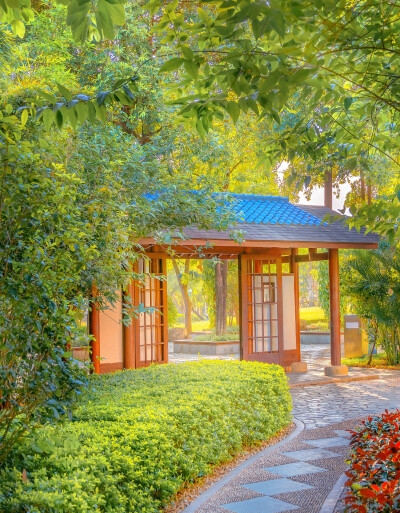 能什么项目赚钱快